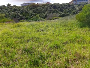 1096 m² Land available in Glentana