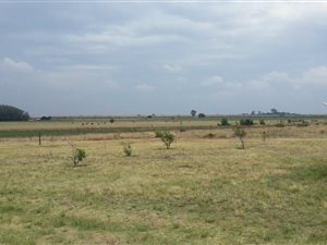 17.2 ha Farm in Derby