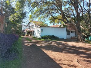 25 Bed House in Carsdale