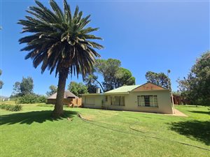 12.5 ha Smallholding in Bainsvlei