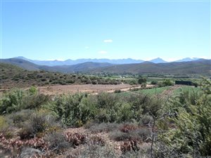 3 ha Farm in Oudtshoorn