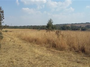 6.5 ha Land available in Rietfontein