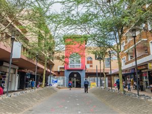 11800 m² Retail Space in Johannesburg Central