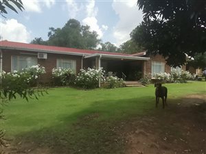4 Bed House in Dewetsdorp
