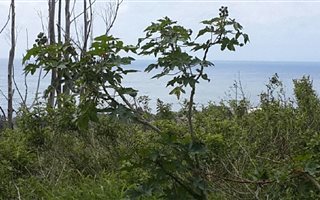 1124 m² Land available in Saiccor
