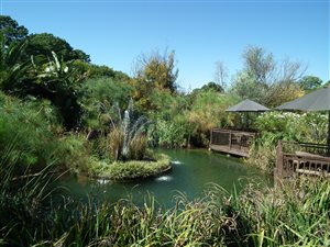 1.7 ha Farm in Sterkfontein and surrounds