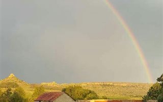 104 ha Farm in Ladybrand
