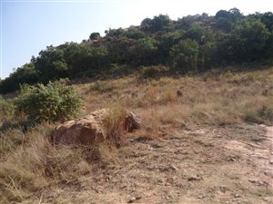 1207 m² Land available in Heidelberg Kloof Estate