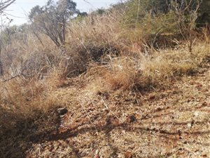 921 m² Land available in Seasons Lifestyle Estate