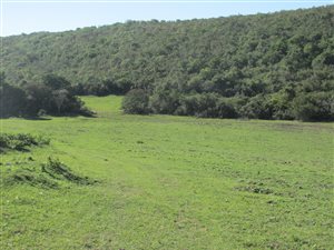 101 ha Farm in Beacon Bay