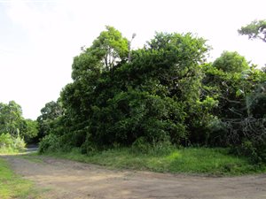 4046 m² Land available in Banners Rest