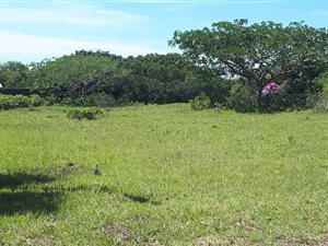 1169 m² Land available in Riversbend