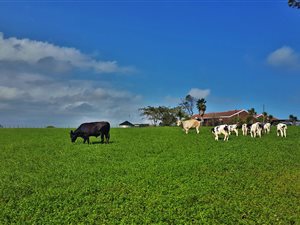 6.4 ha Farm in George Rural