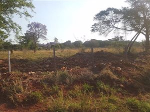 5000 m² Land available in Winternest