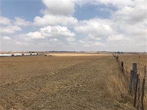 34 ha Farm in Bapsfontein