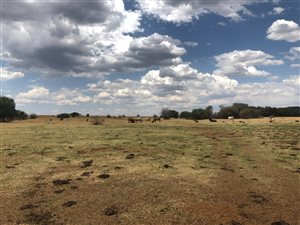 2929 ha Farm in Lichtenburg