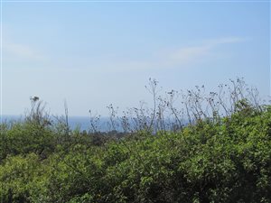 1487 m² Land available in Saiccor