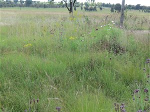 5234 m² Land available in Belfast