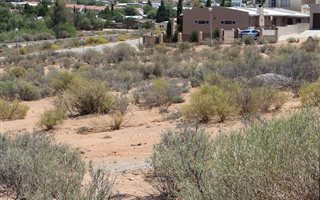 743 m² Land available in Springbok