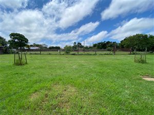 4363 m² Land available in Camperdown