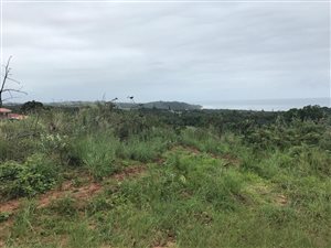 1579 m² Land available in Palm Beach