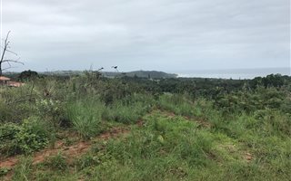 1579 m² Land available in Palm Beach