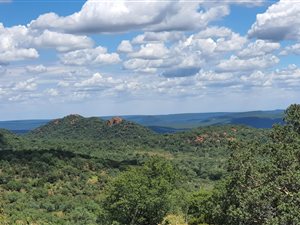 1317 ha Farm in Bela-Bela (Warmbaths)