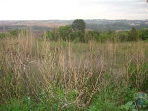 1 ha Land available in Mooikloof Equestrian Estate