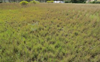 945 m² Land available in Napier