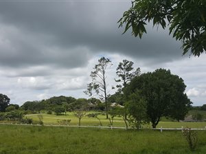 1160 m² Land available in Eshowe