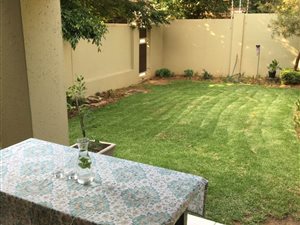 1 Bed Apartment in Bryanston