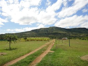7145 m² Land available in Utrecht