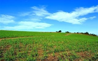 800 ha Farm in Harding
