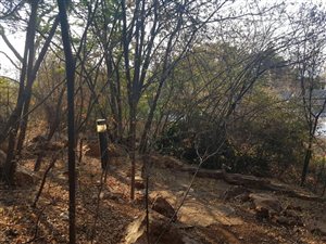 2000 m² Land available in Northcliff