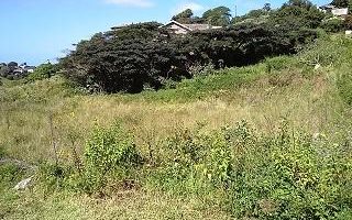 1166 m² Land available in La Mercy