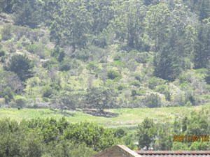 725 m² Land available in Sedgefield