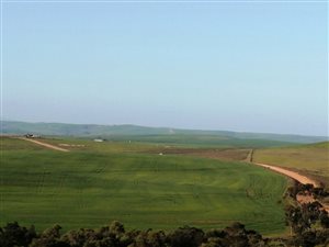 38 ha Farm in Tesselaarsdal