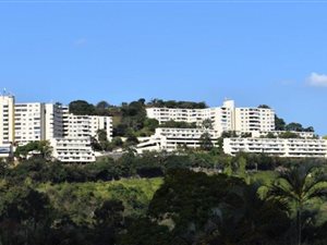 1 Bed Apartment in Sarnia
