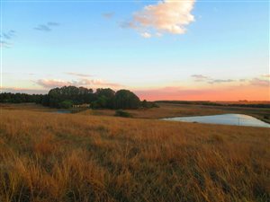 136.6 ha Farm in Dullstroom