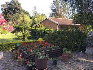 5 Bed House in Old Place