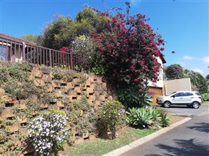 3 Bed Apartment in La Lucia