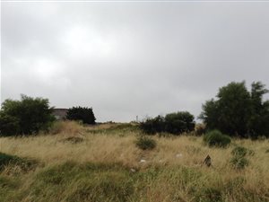 4049 m² Land available in Weltevreden Valley