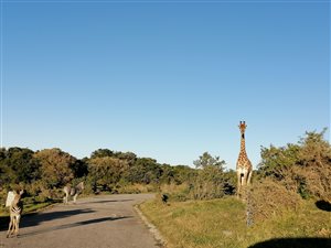 760 m² Land available in Boesmansriviermond