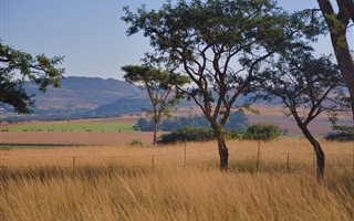 2786 m² Land available in Bergville