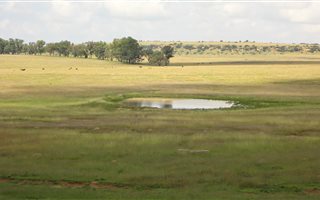 742 ha Farm in Senekal