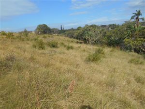 1776 m² Land available in Hibberdene