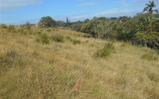 1776 m² Land available in Hibberdene