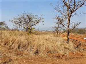 665 m² Land available in Elawini Lifestyle Estate