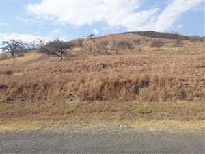 2.6 ha Land available in Winterton