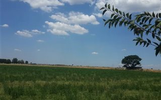 2 m² Land available in Rosashof